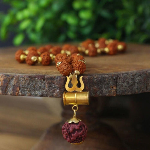 Authentic 5 mukhi Rudraksha Chain with Shiv Trishul Pendant.